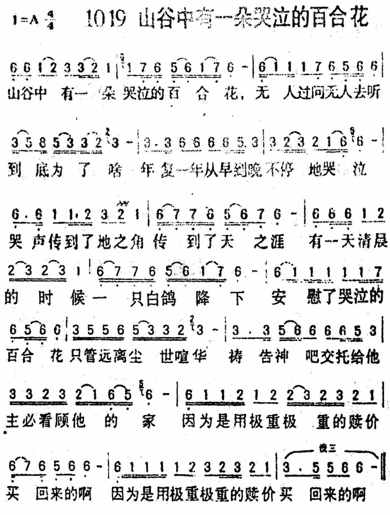 《第1019首 -山谷中有一朵哭泣的百合花  》