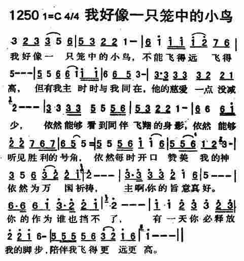 《第1250首 -我好像一只笼中的小鸟  》