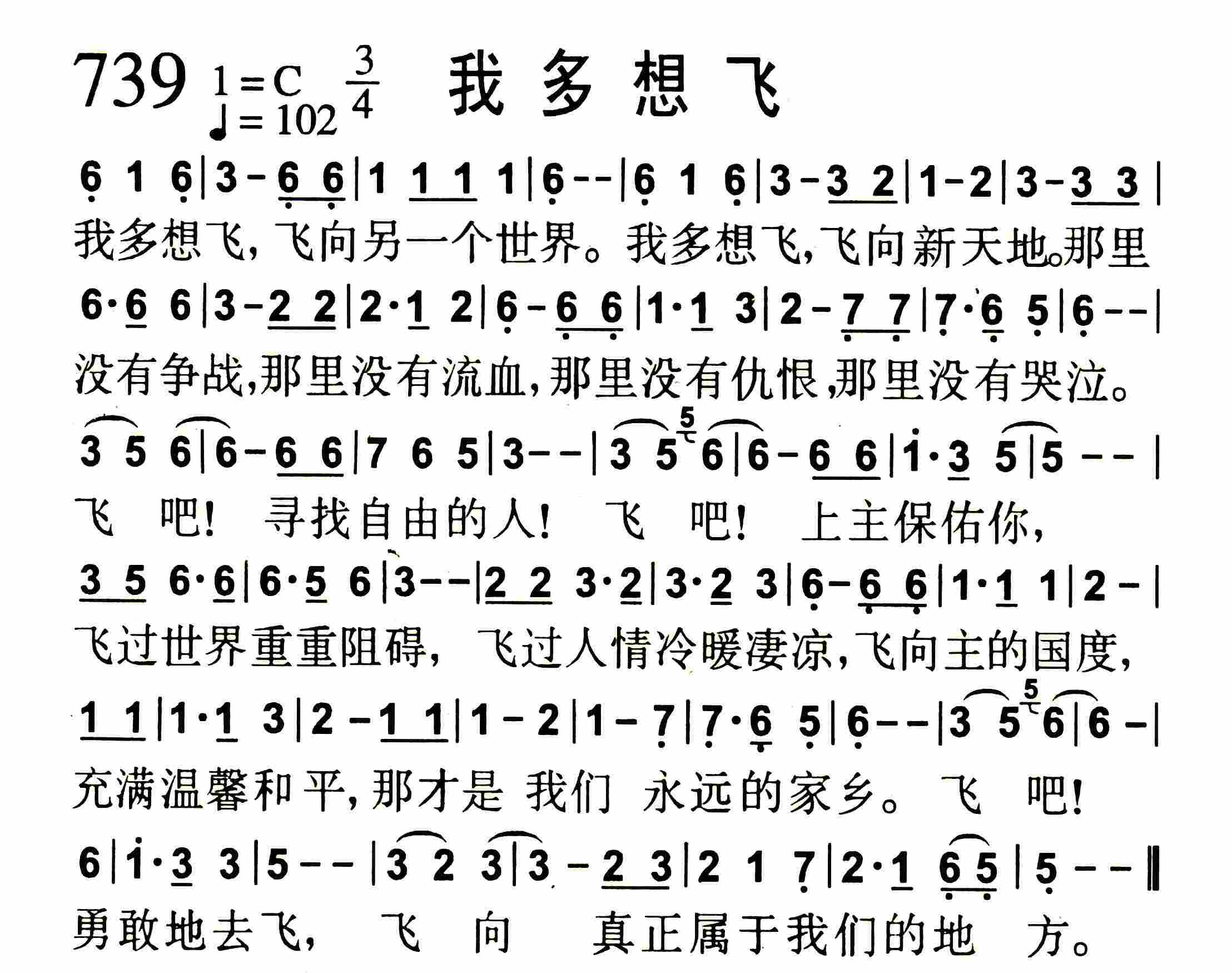《我多想飞》
