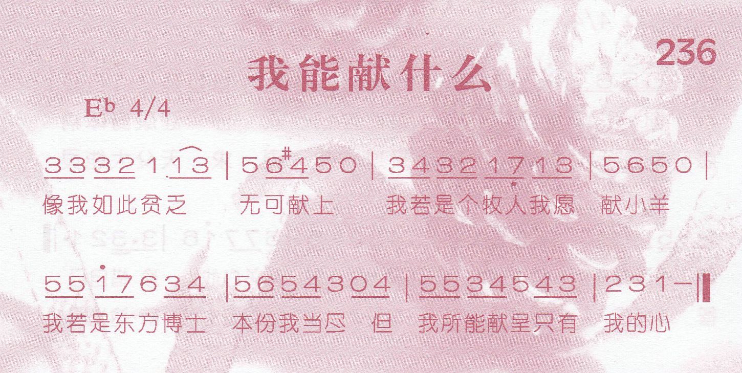 《我能献什么》