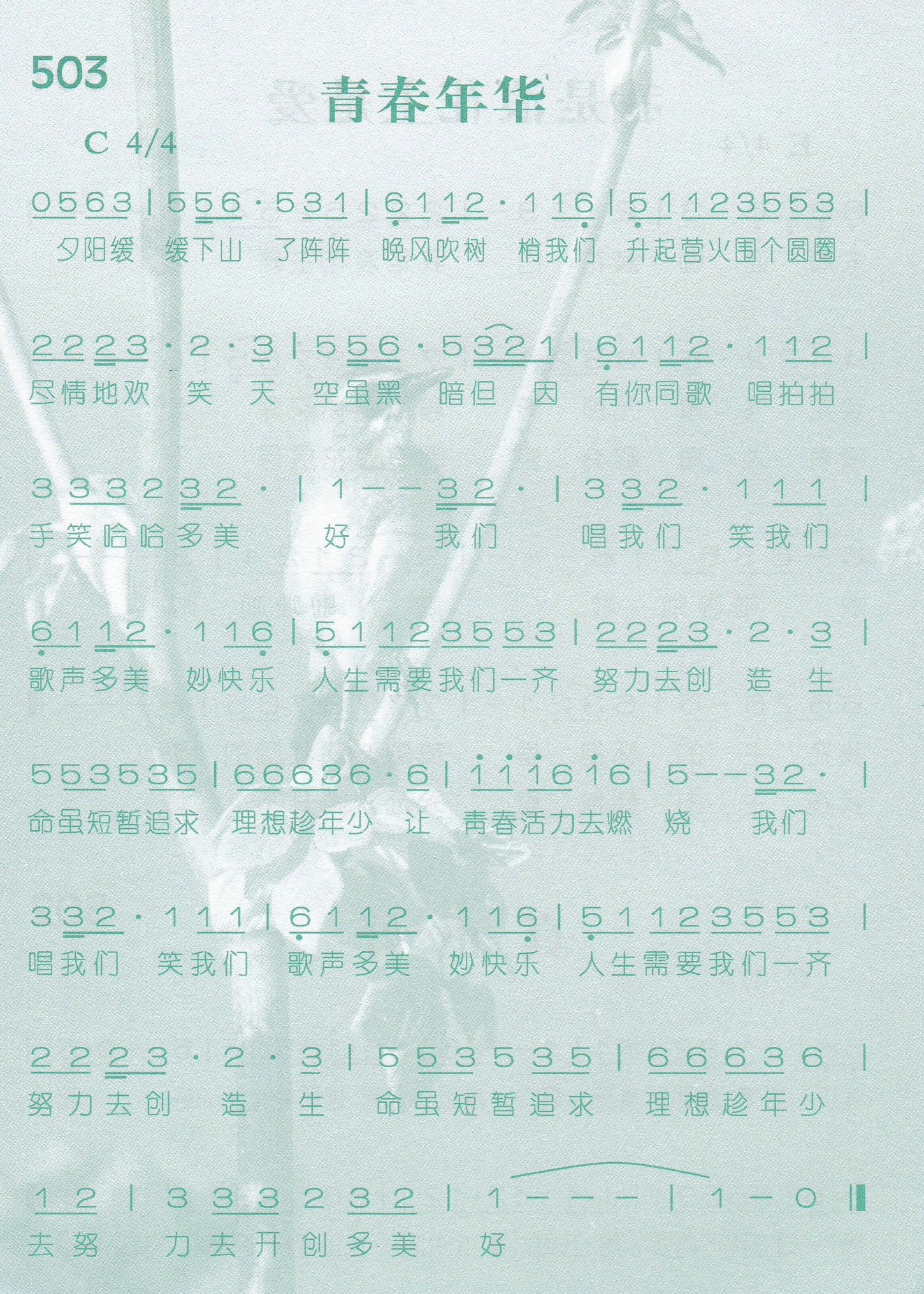 《第503首 -青春年华  》