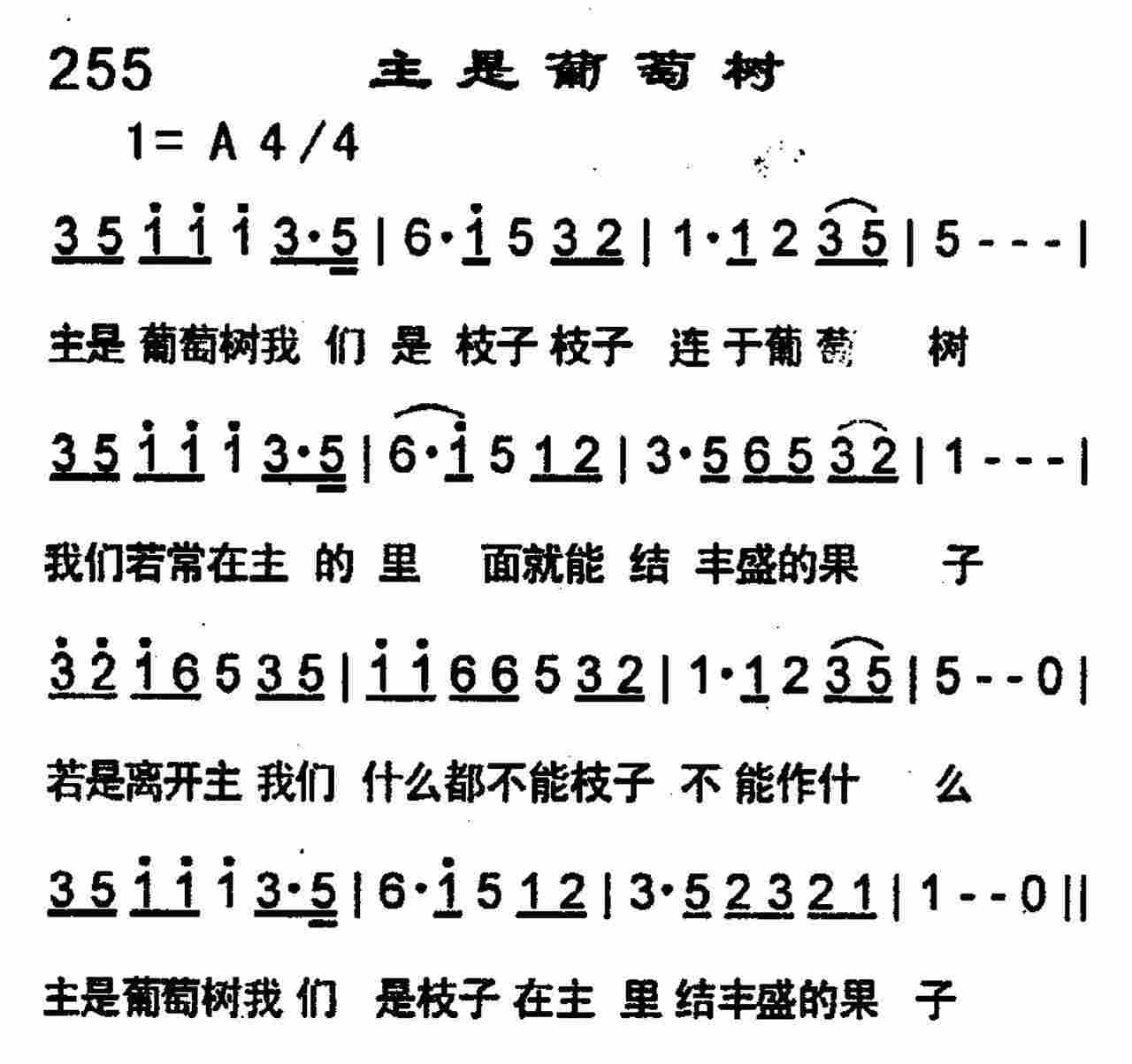 《主是葡萄树》