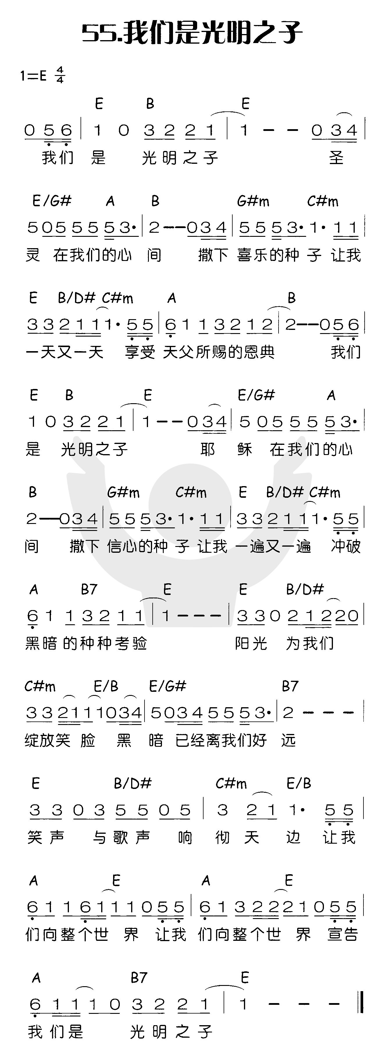 《我们是光明之子》