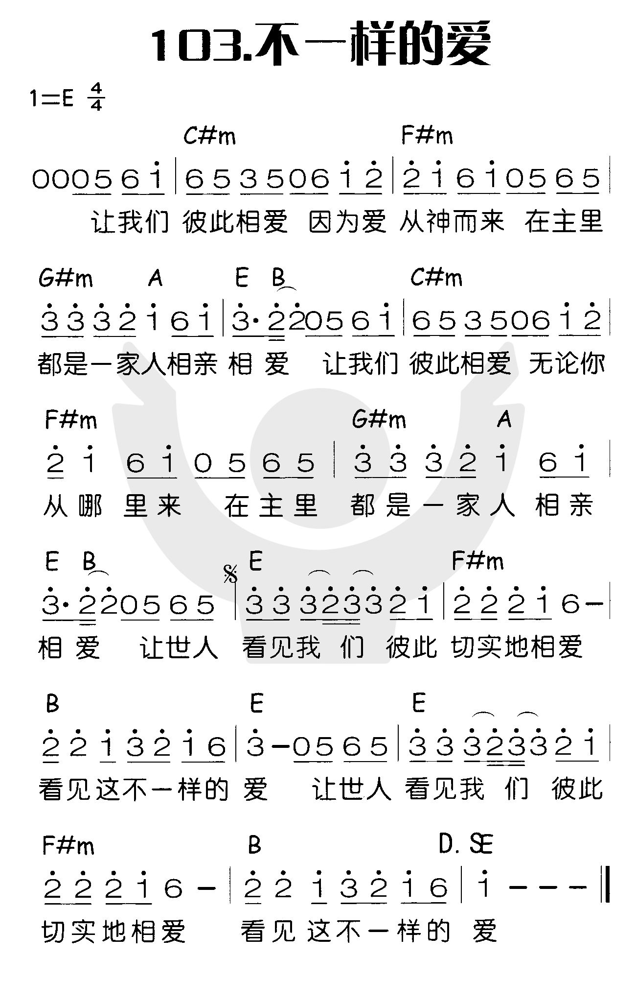 《不一样的爱》
