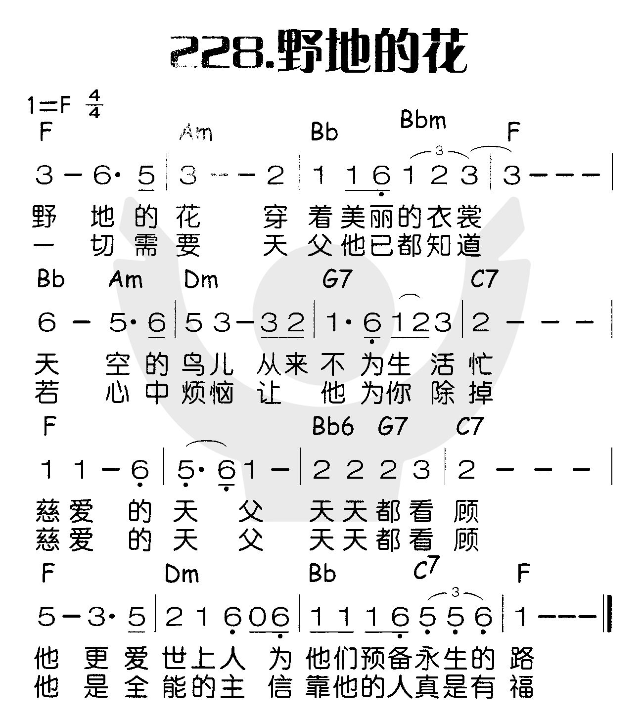 《野地的花》