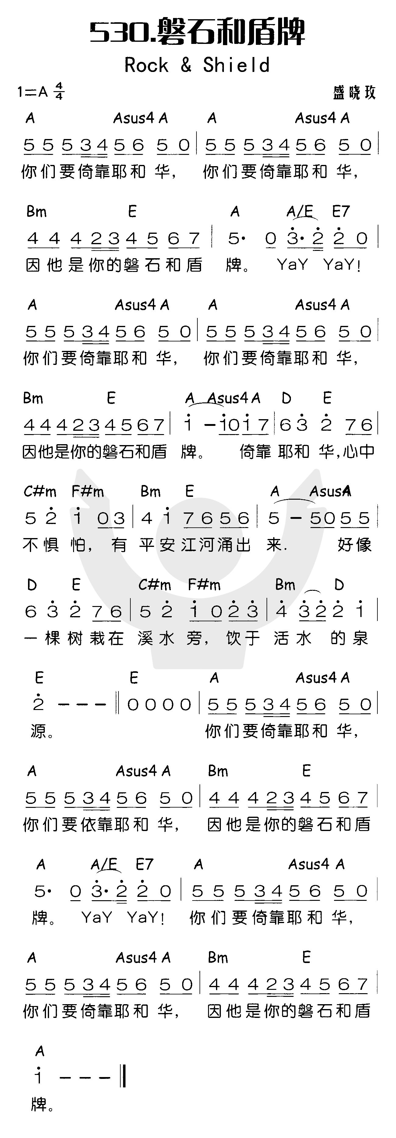 《磐石和盾牌》