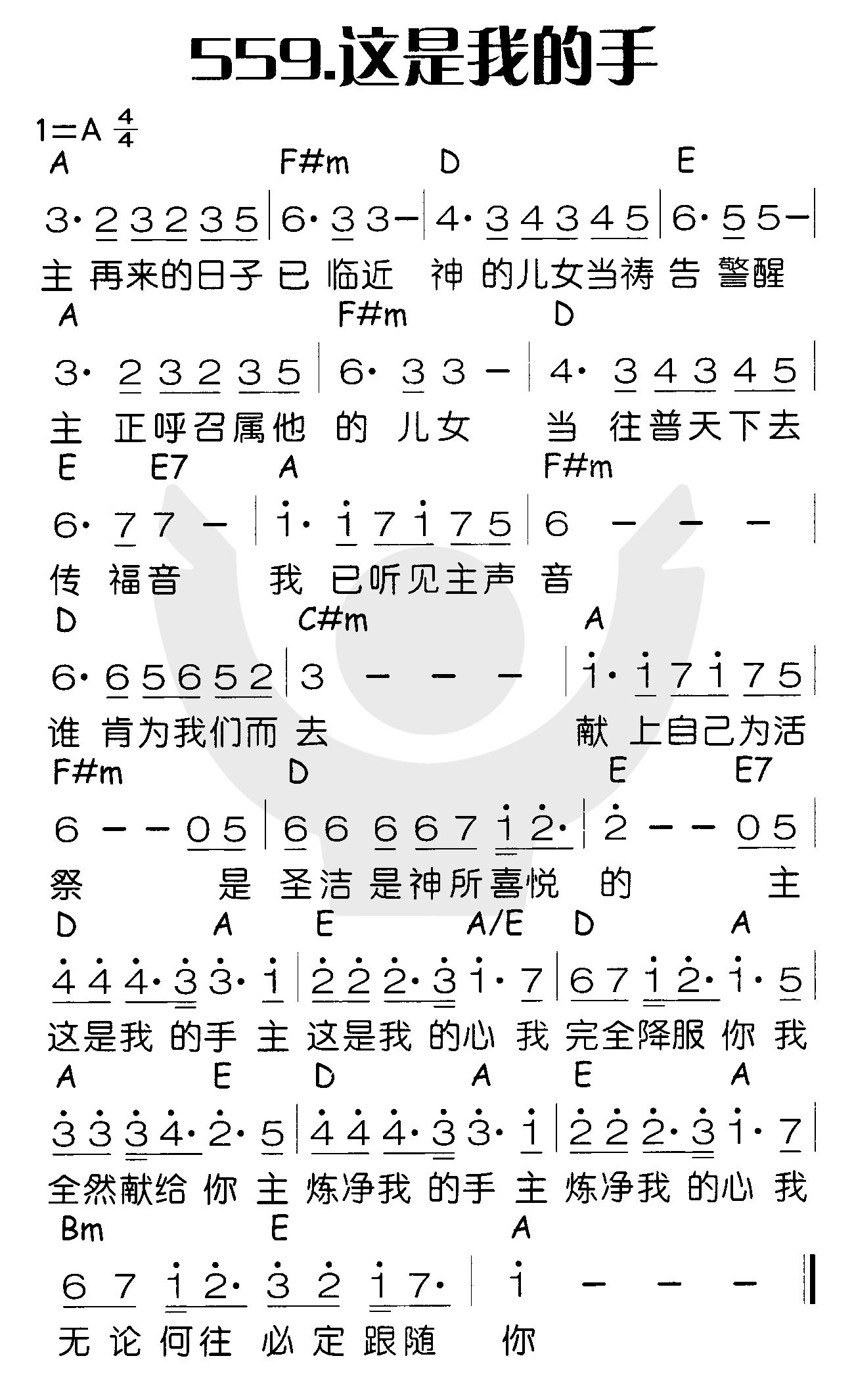 《这是我的手》