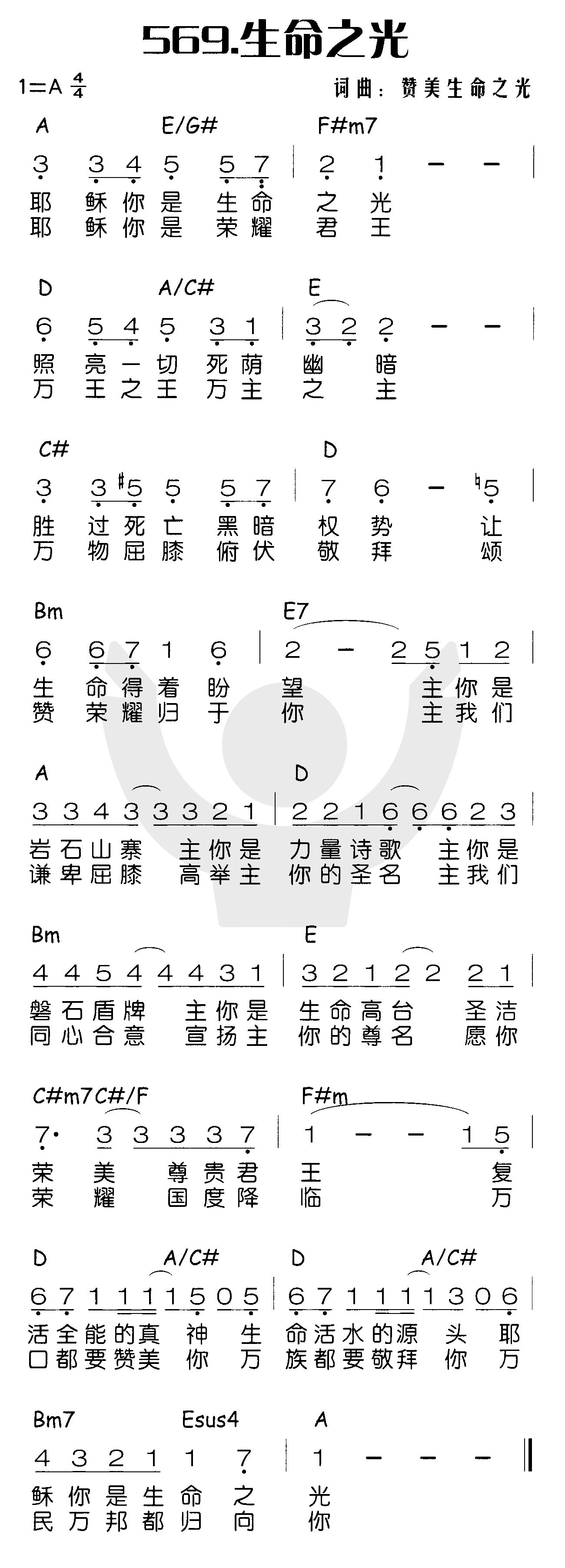 《生命之光》