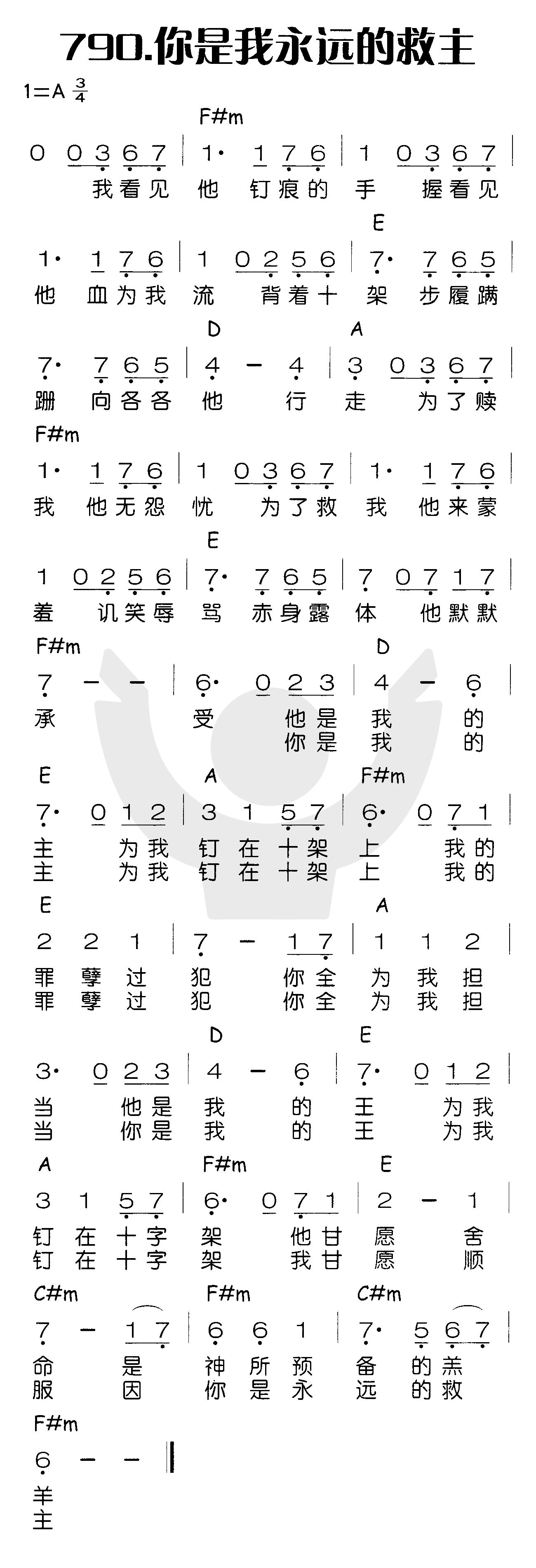 《你是我永远的救主》