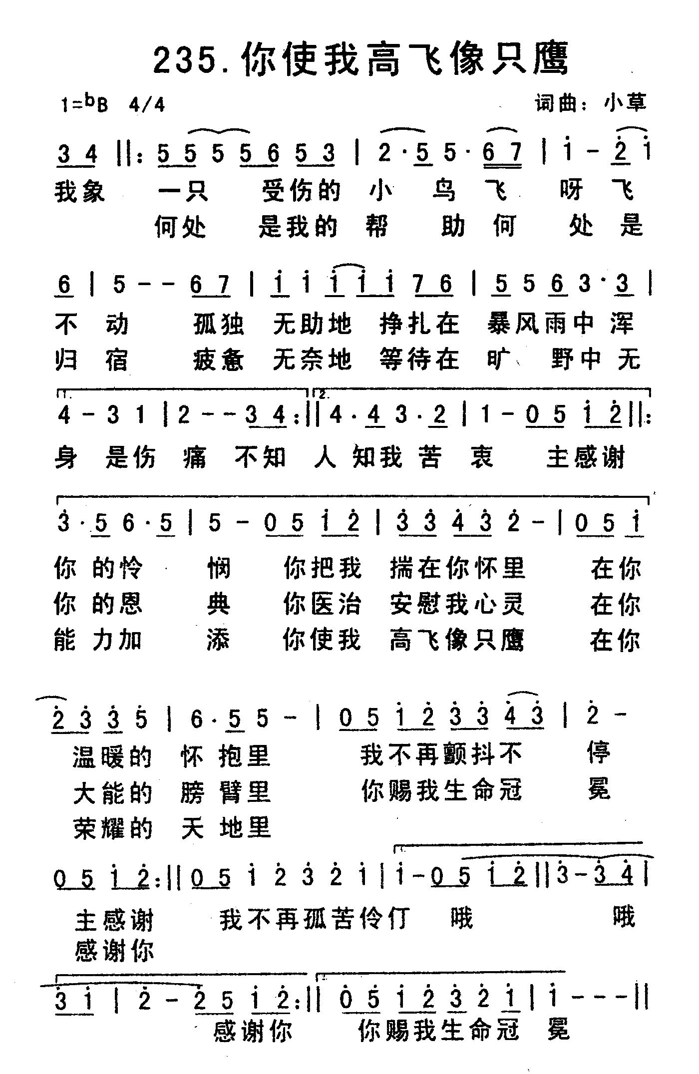 《你使我高飞像只鹰》