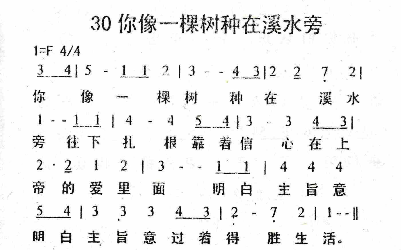 《你像一颗树种在溪水旁》