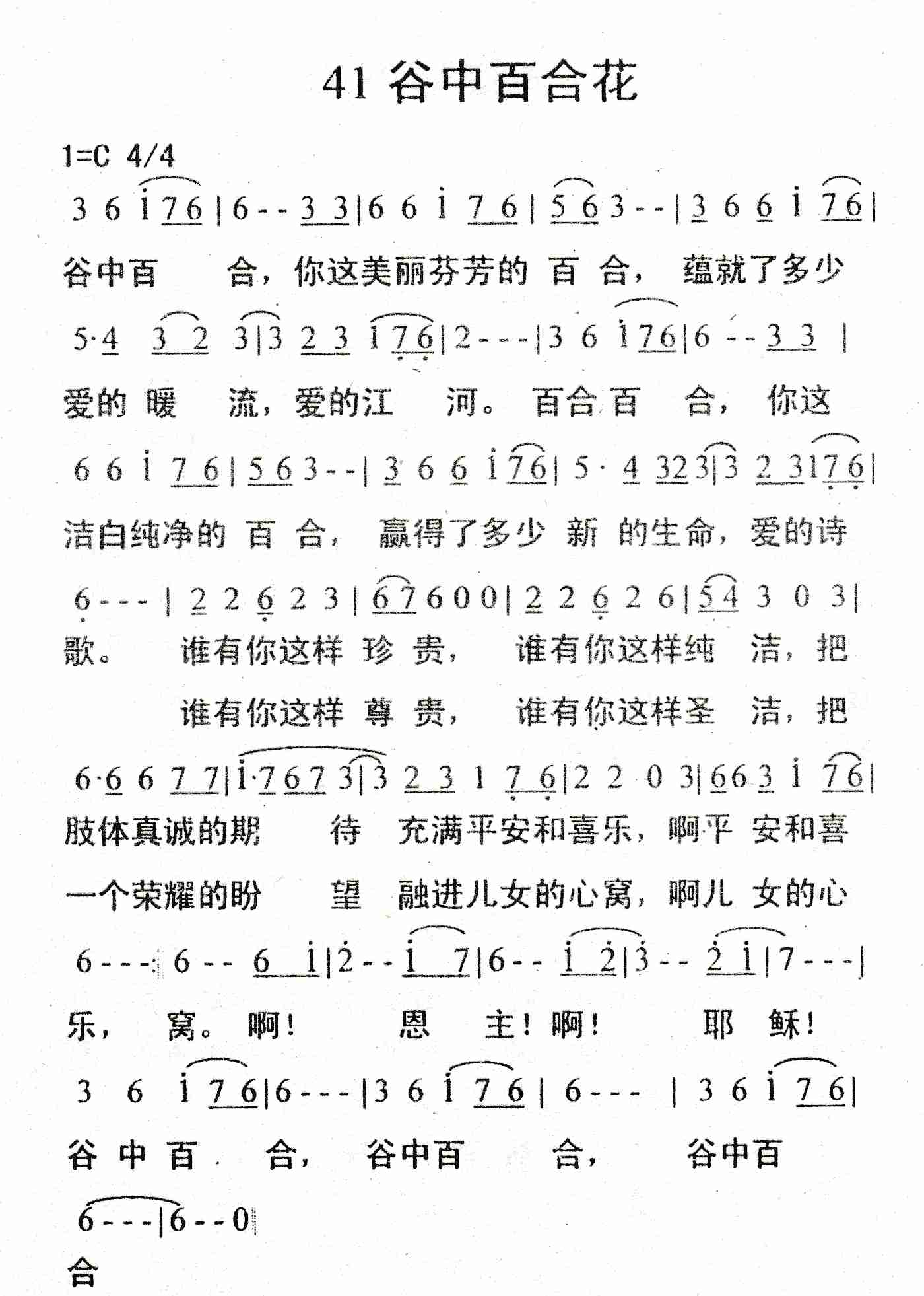 《谷中百合花》