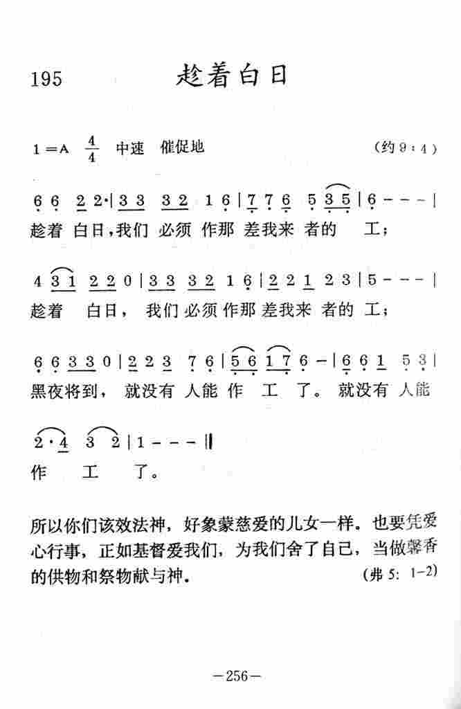 《趁着白日》