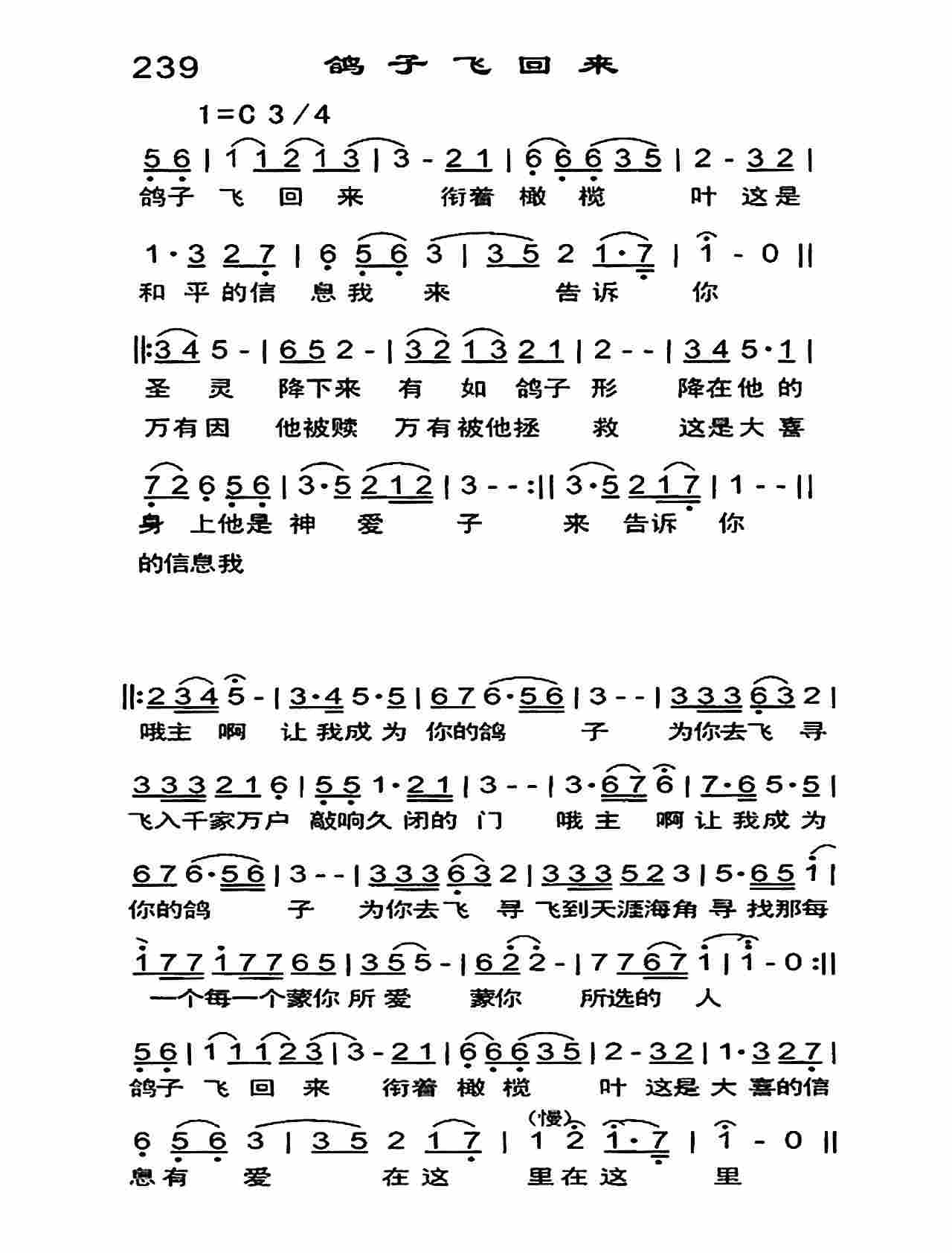《鸽子飞回来》