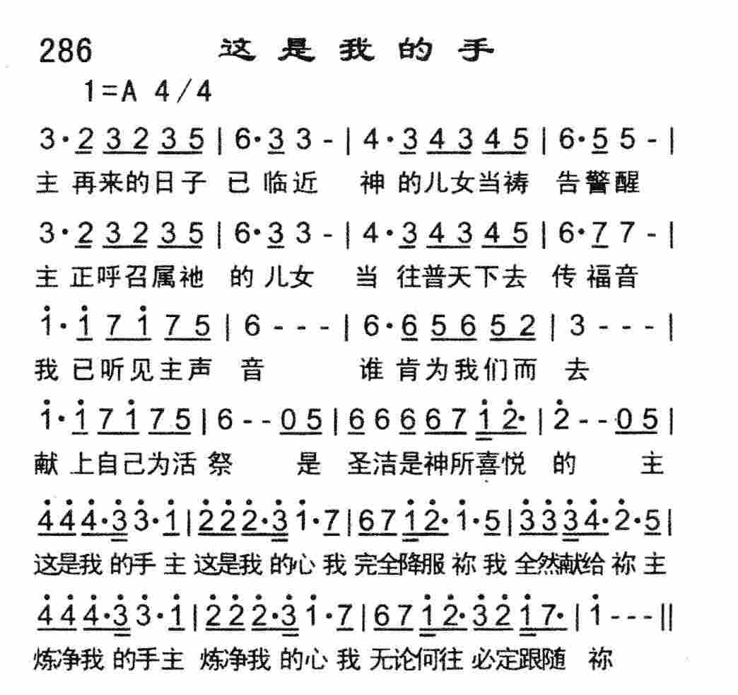 《这是我的手》
