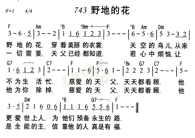 《第743首 - 野地的花》
