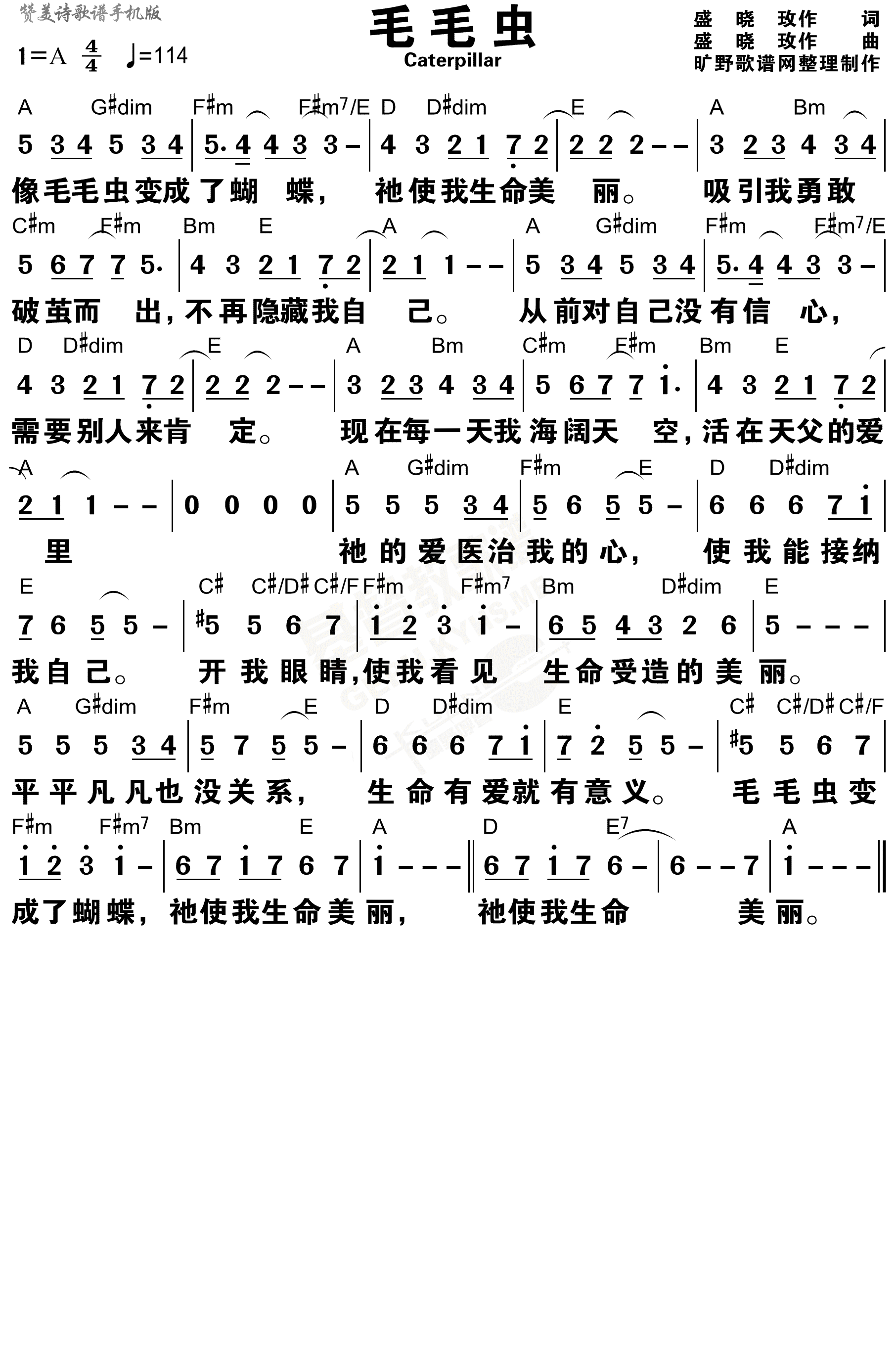 《毛毛虫 和弦简谱》