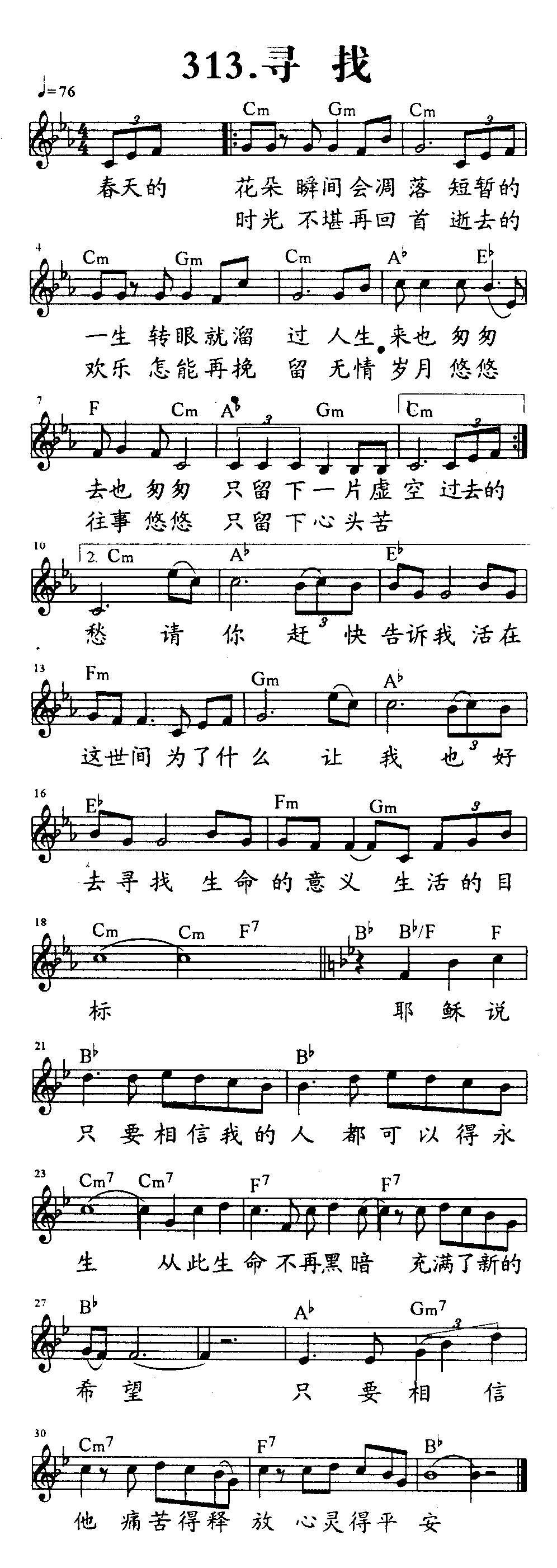 《第313首 - 寻找》