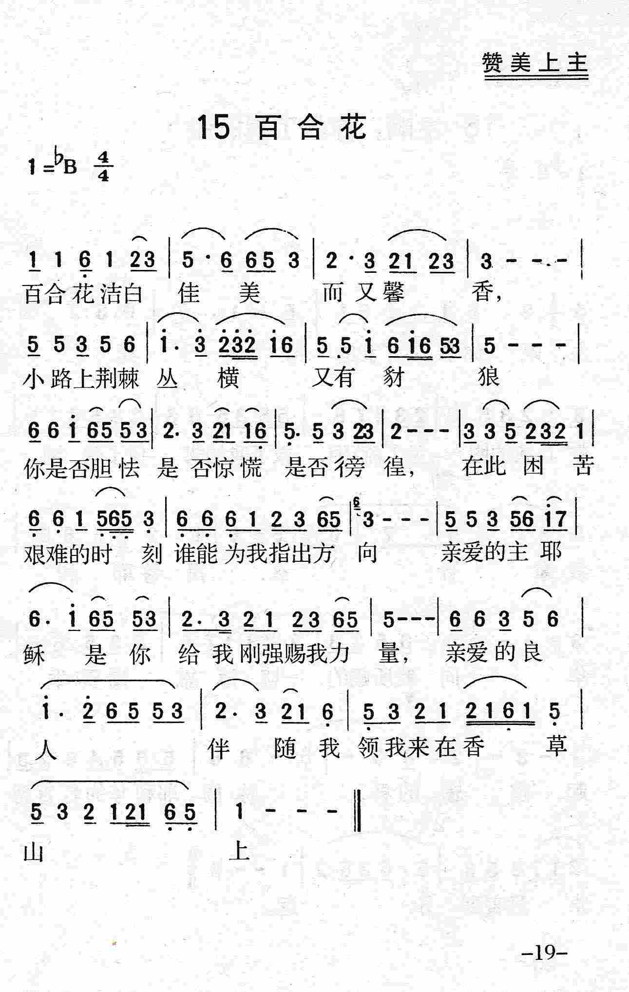 《第15首 - 百合花》