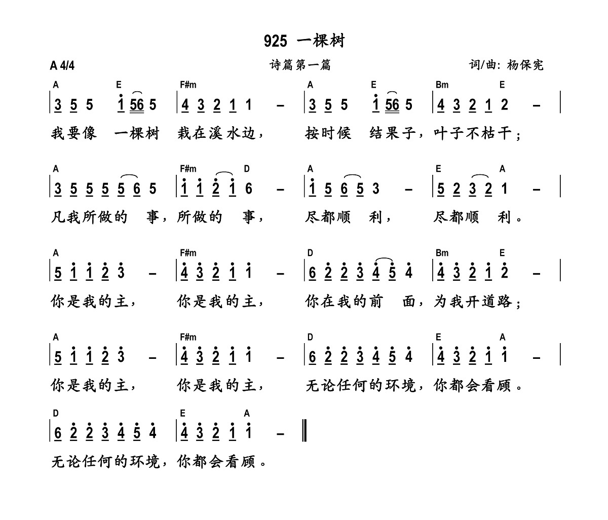 《一棵树 和弦简谱》