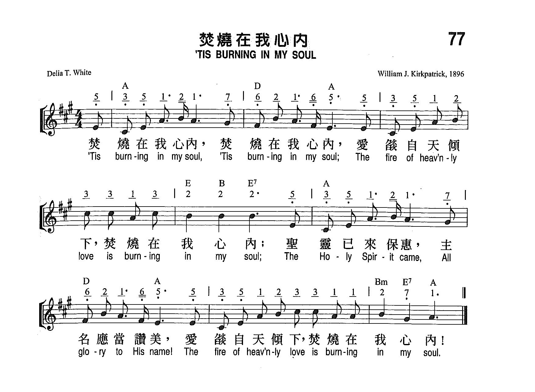 《第77首 - 焚烧在我心内》